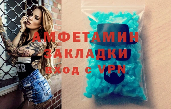 крисы Надым