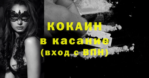 крисы Надым