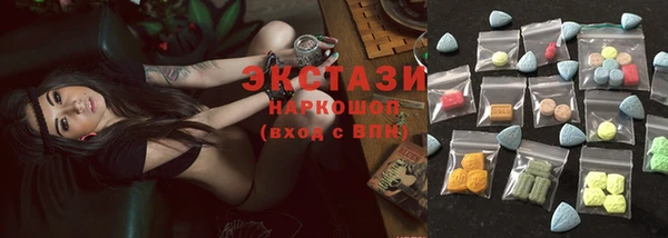 крисы Надым