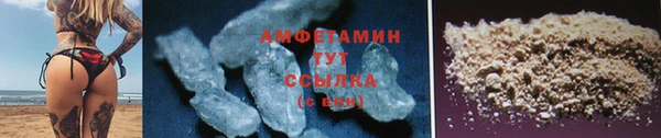крисы Надым