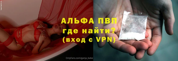 крисы Надым