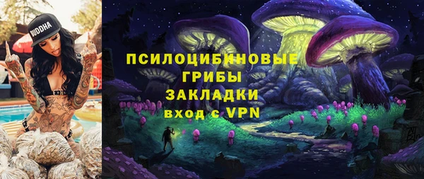 крисы Надым
