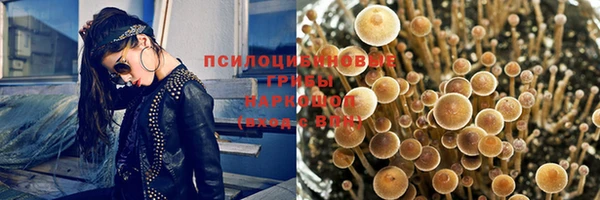 крисы Надым