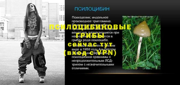 крисы Надым