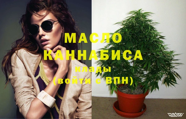 тгк Нея