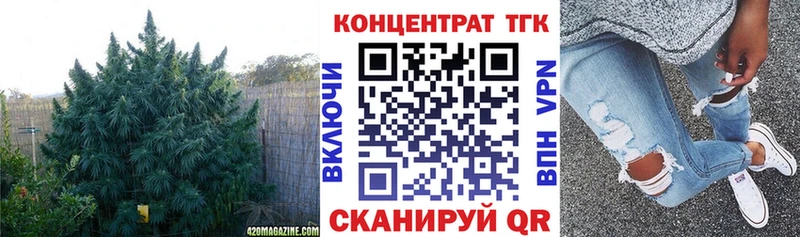 Дистиллят ТГК вейп с тгк  Купить закладки  Онега 